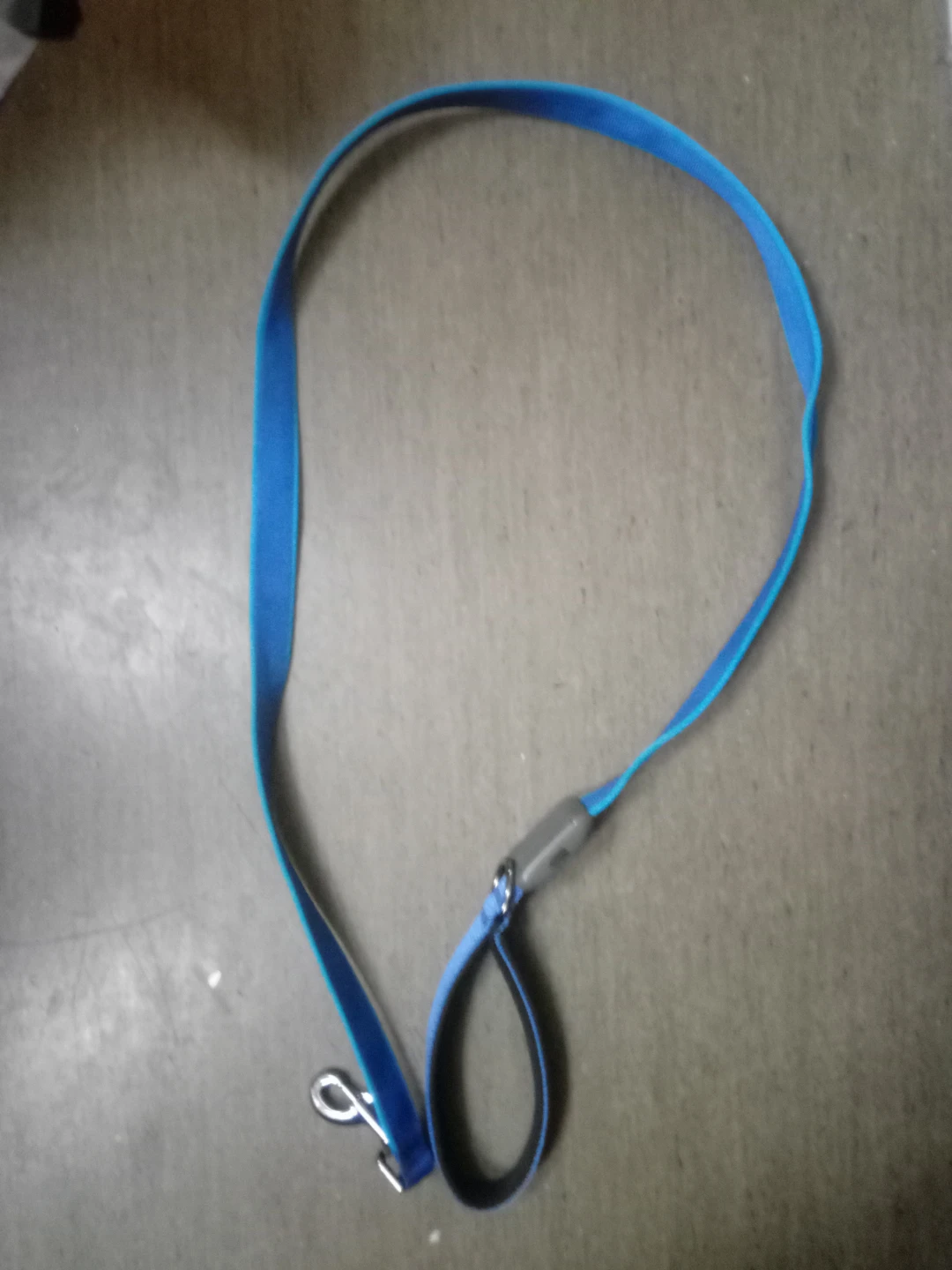 Blue LED Dog Leash