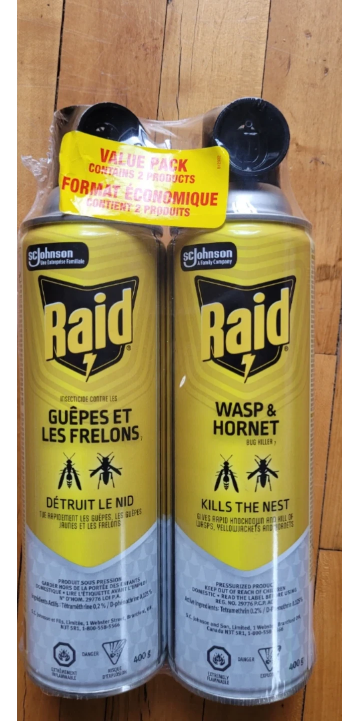 Raid Wasp & Hornet Killer Spray - 2 Pack