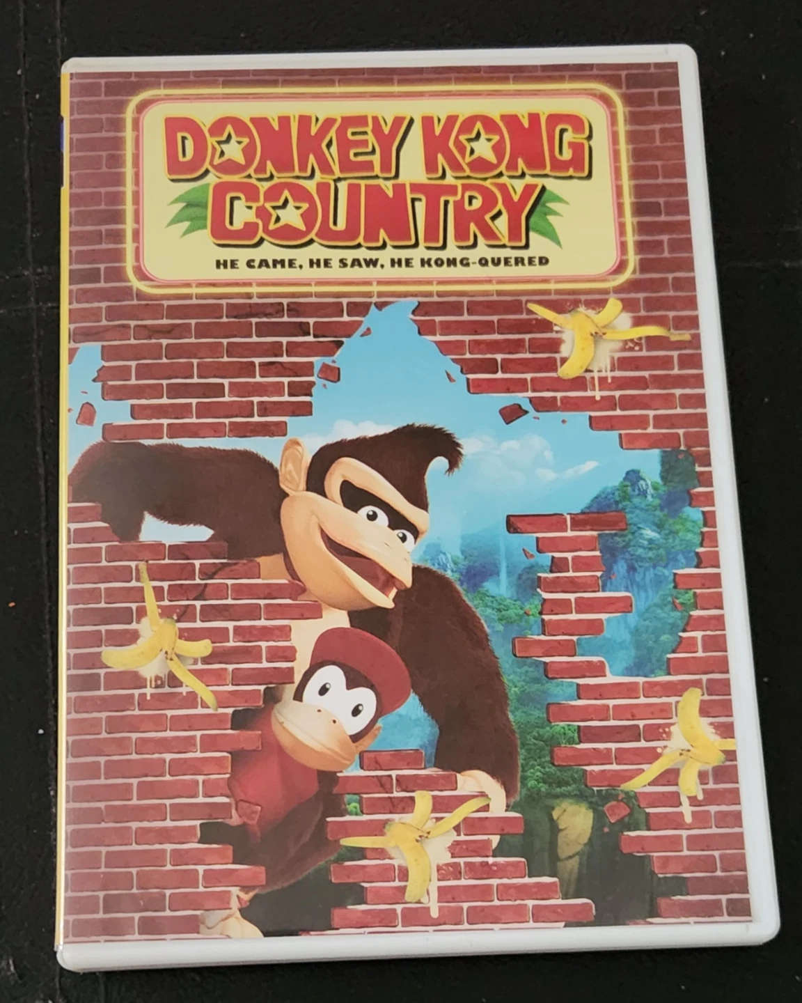 Donkey Kong Country: He Came He Saw He Kong-Quered 2013