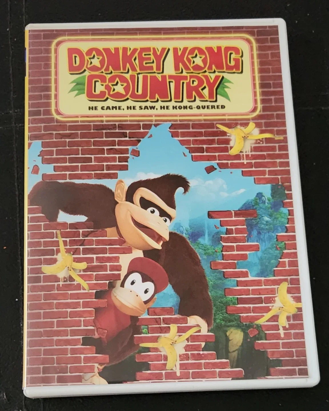 Donkey Kong Country: He Came He Saw He Kong-Quered 2013