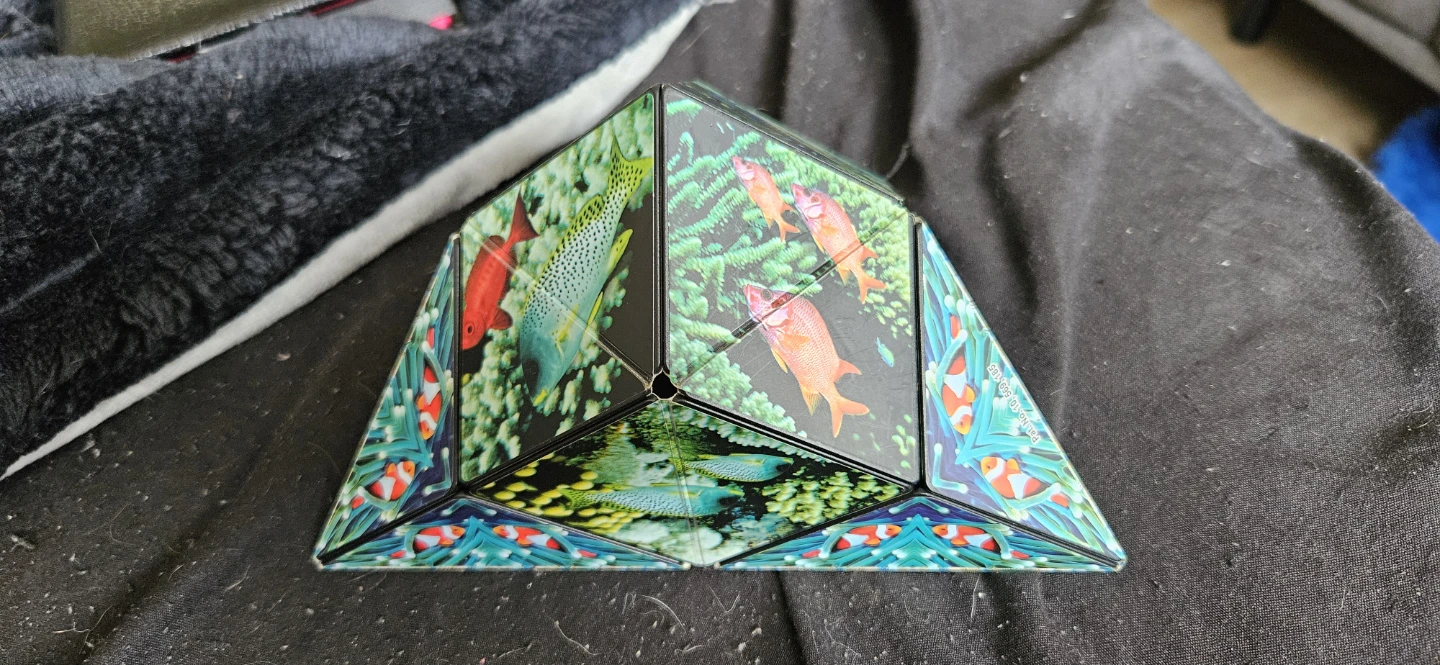 Aquarium Prism Puzzle Toy