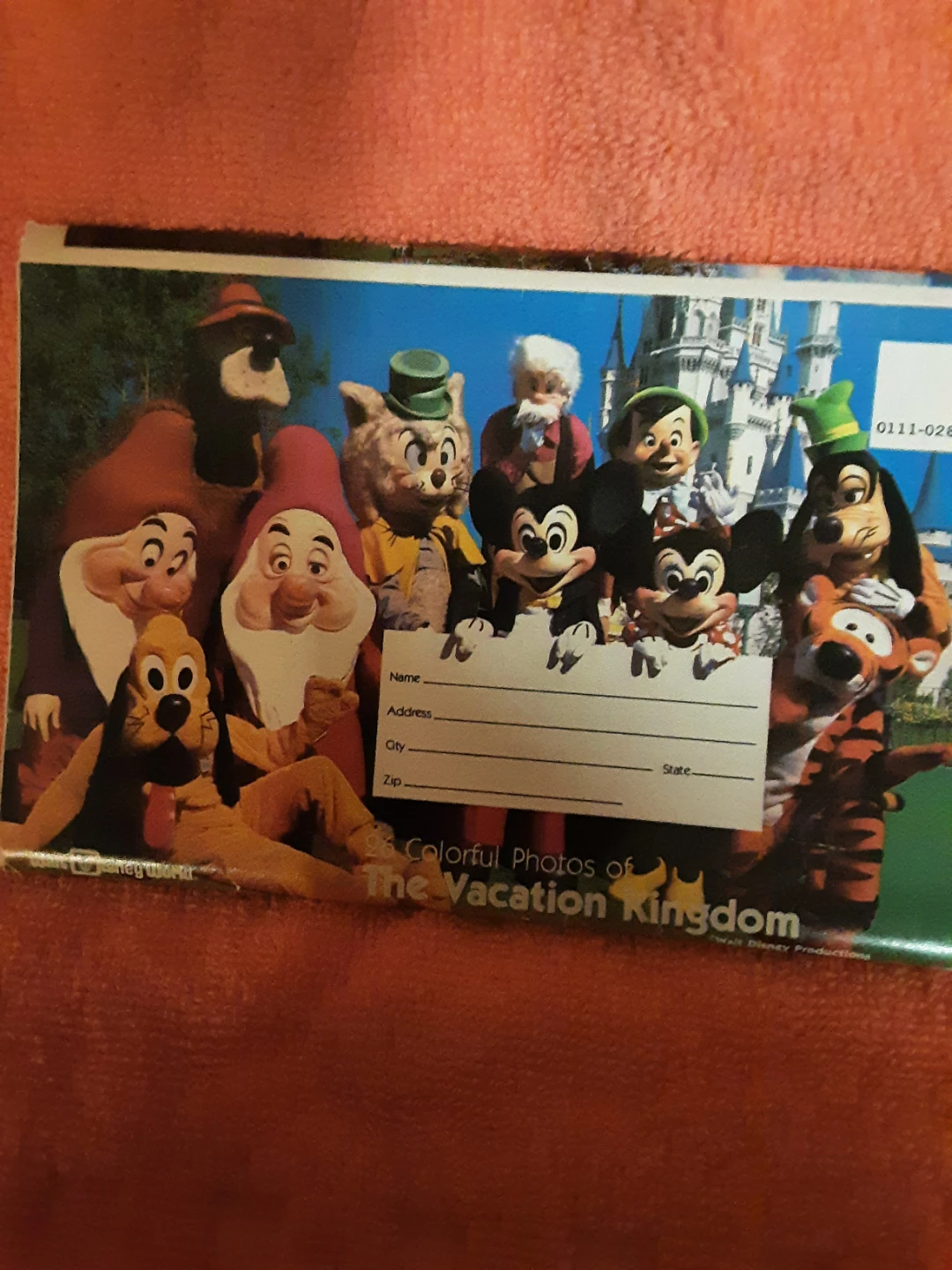 Disney Vacation Kingdom Colorful Photos Booklet