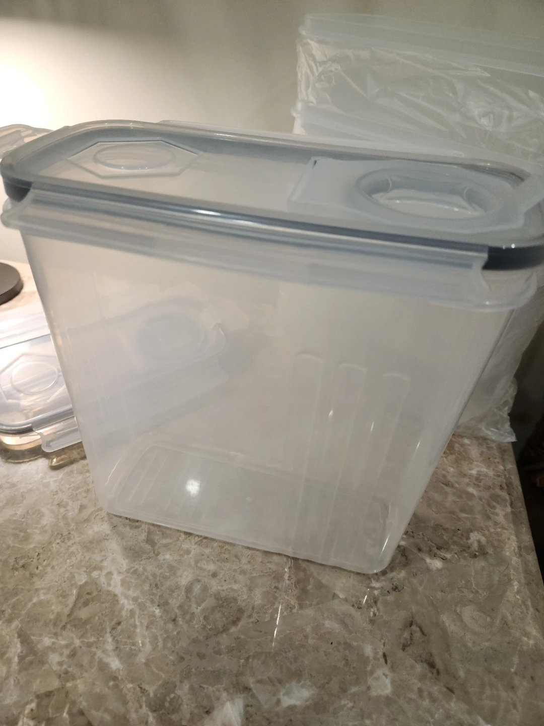 Set of 3 Clear Food Storage Containers with Lids