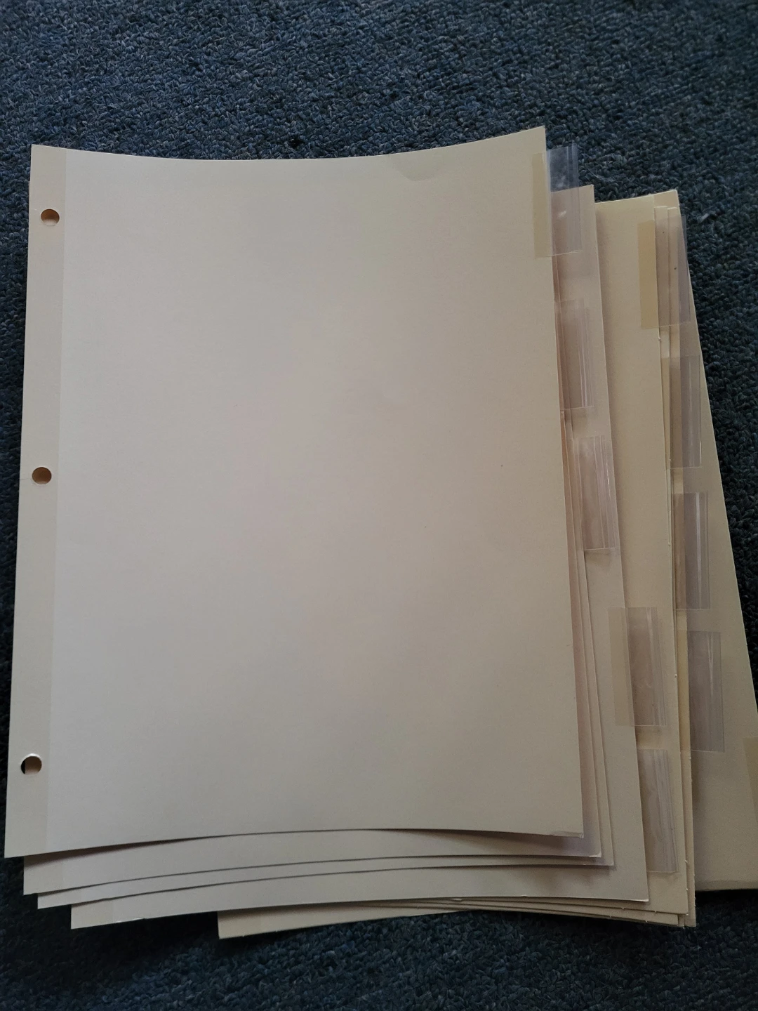 1000 Custom Tabs Album Pages / Sheet Protectors