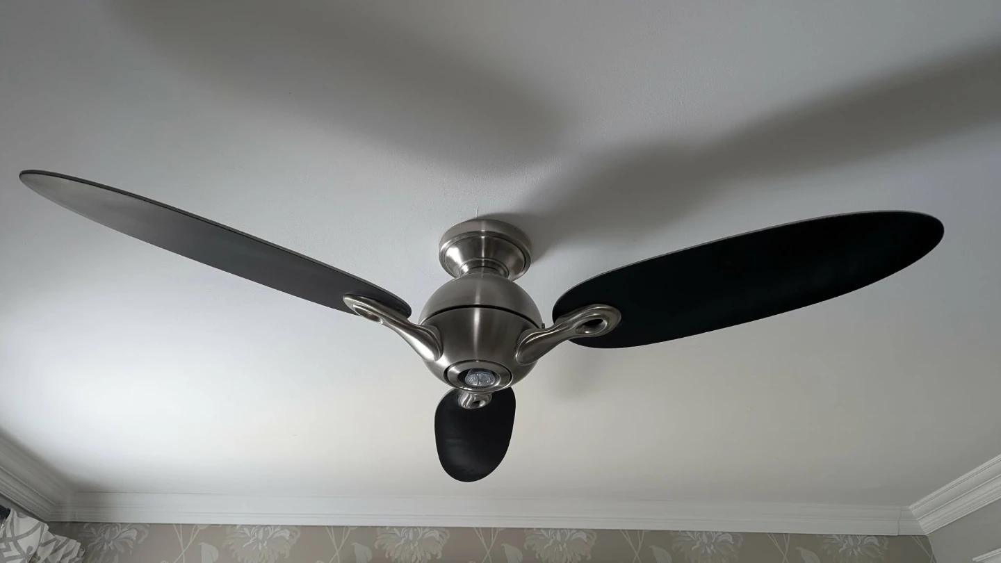 Brushed Nickel Ceiling Fan with Black Blades