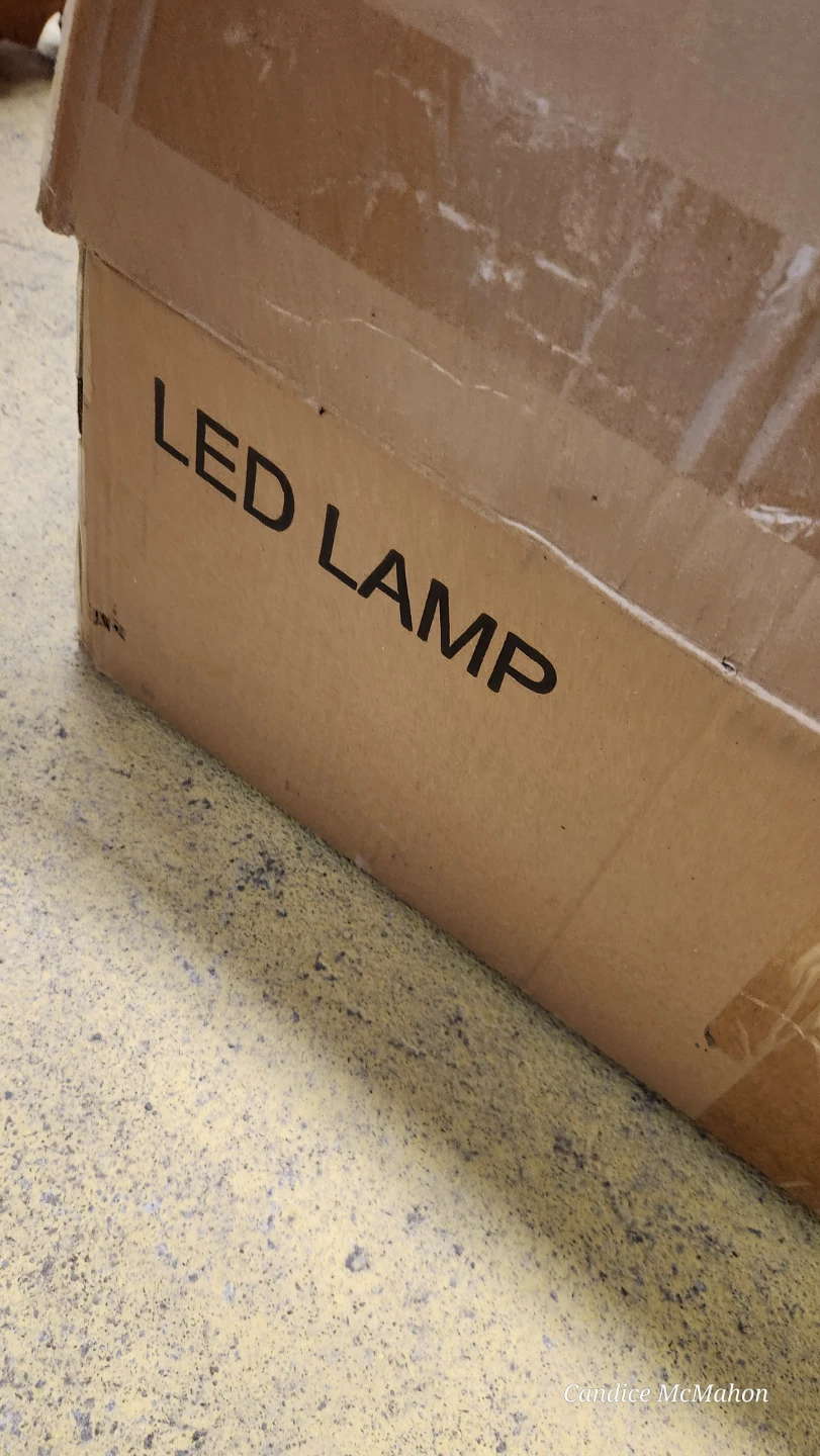 For Your Garage LED Lamp