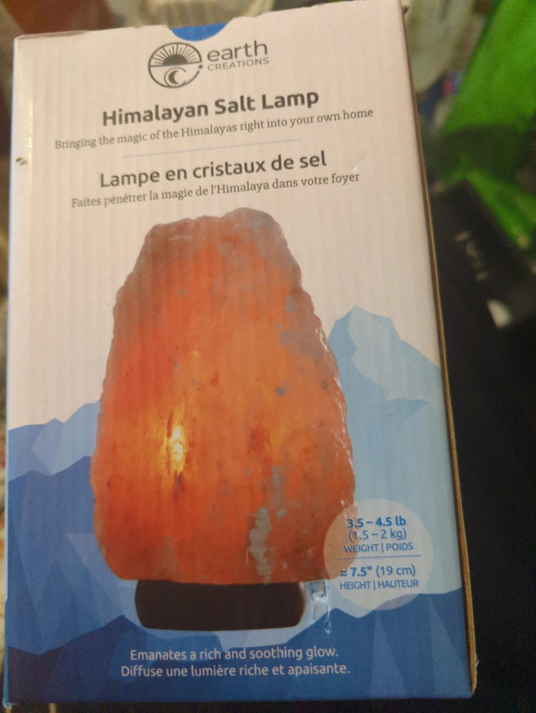 Earth Creations Himalayan Salt Lamp