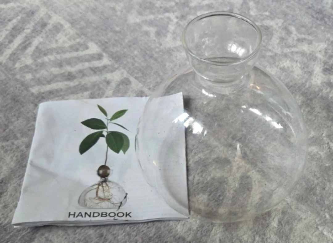 Glass Avocado Vase + Handbook 🥑