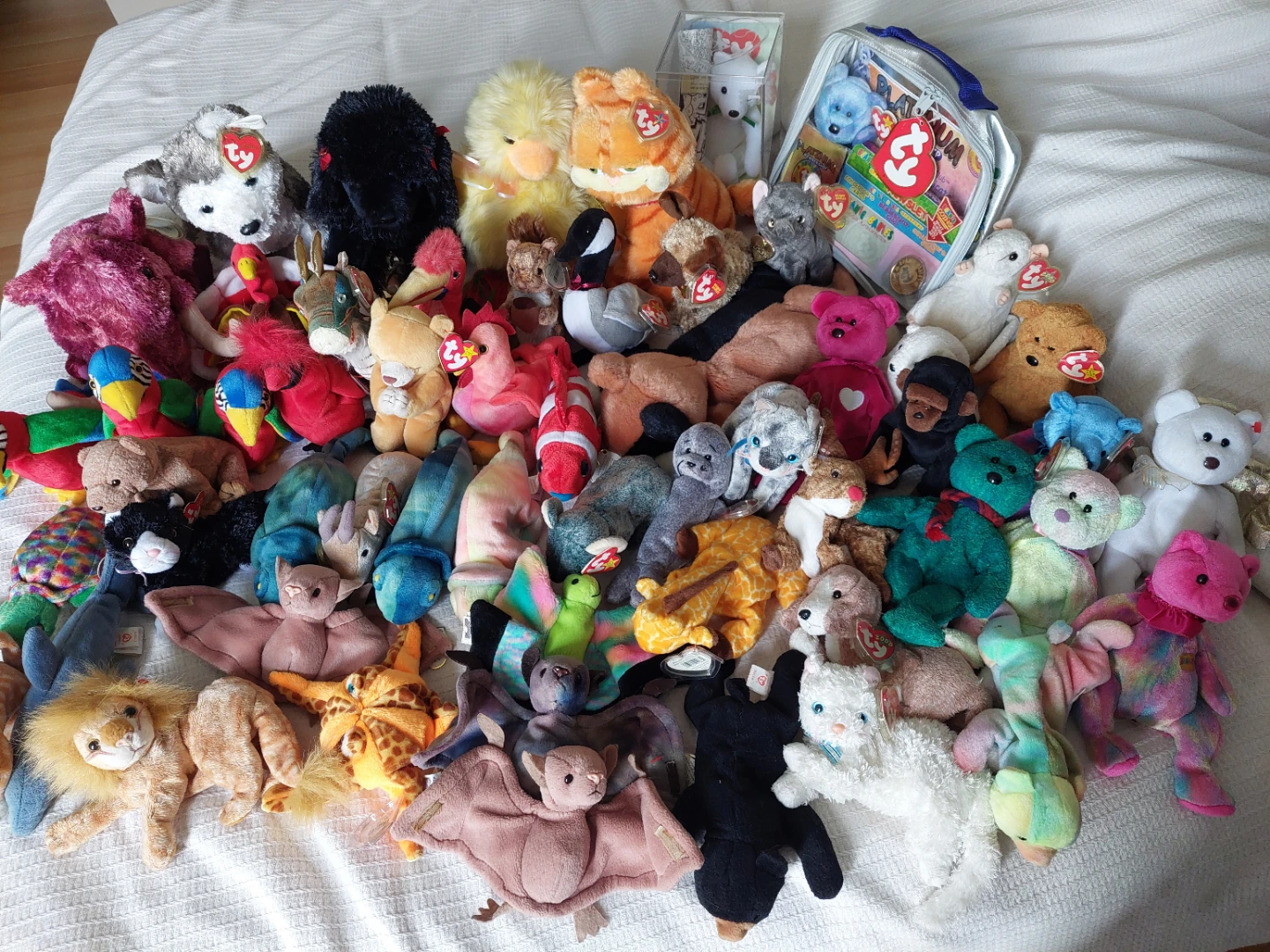 Large Collection of Ty Beanie Babies Plush Toys