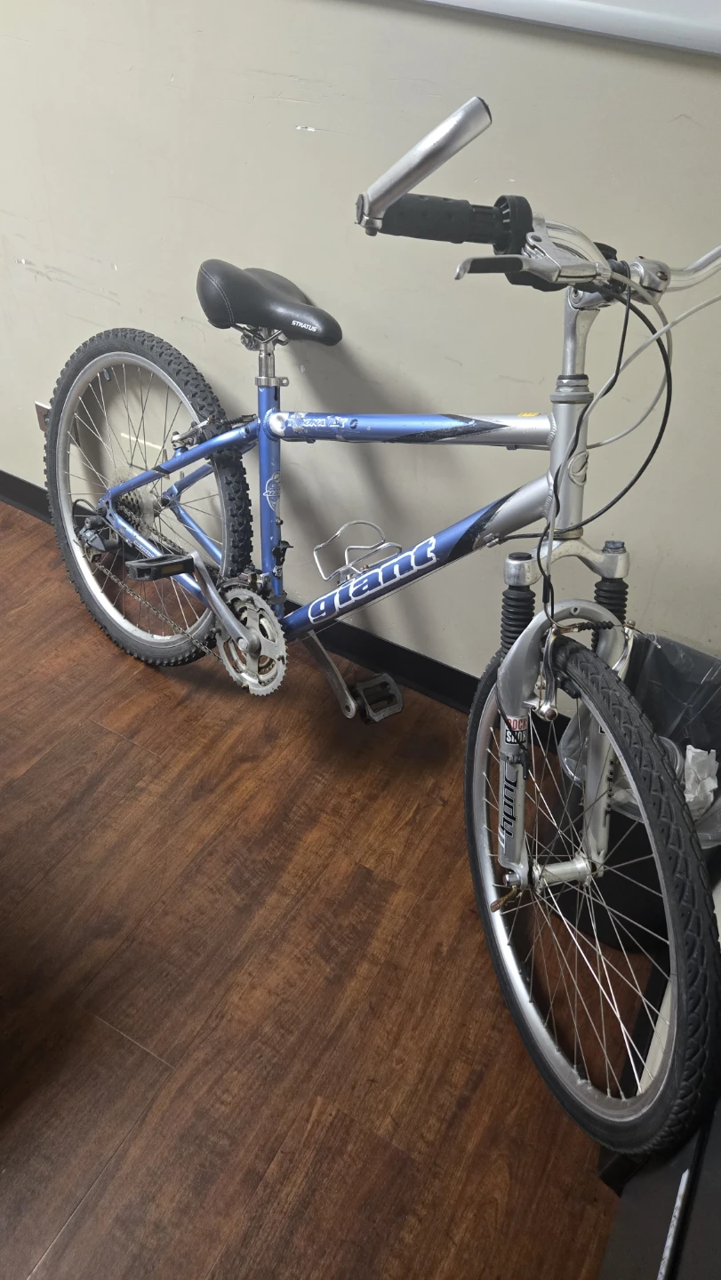 Giant Sedona LX Bike - Blue