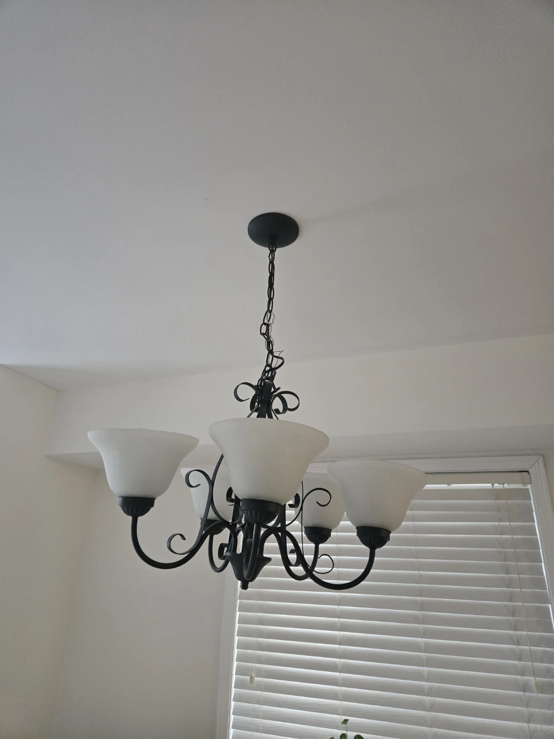 4-Light Black Chandelier with Frosted Glass Shades - photo 2