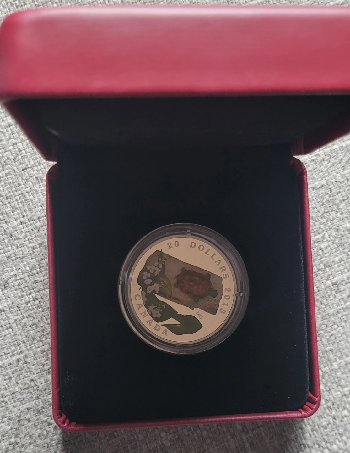 2015 Canada  - Venetian Glass Turtle
