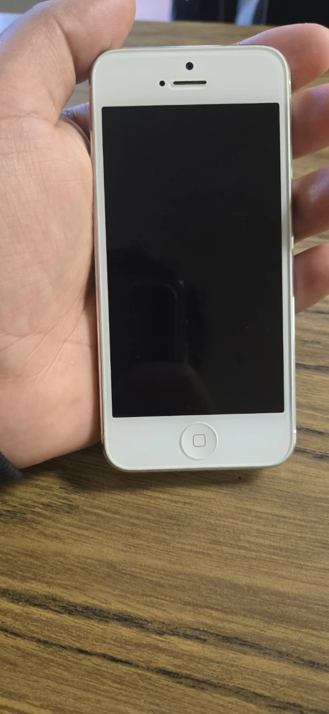 Apple iPhone 5s - Silver