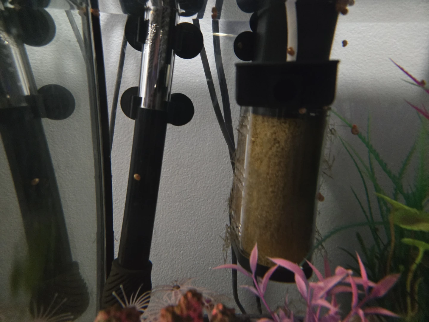 20 gallon Aquarium with Stand - photo 3