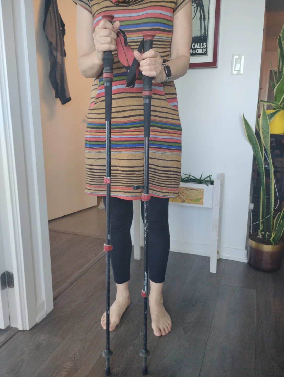 Black Diamond Trekking Poles
