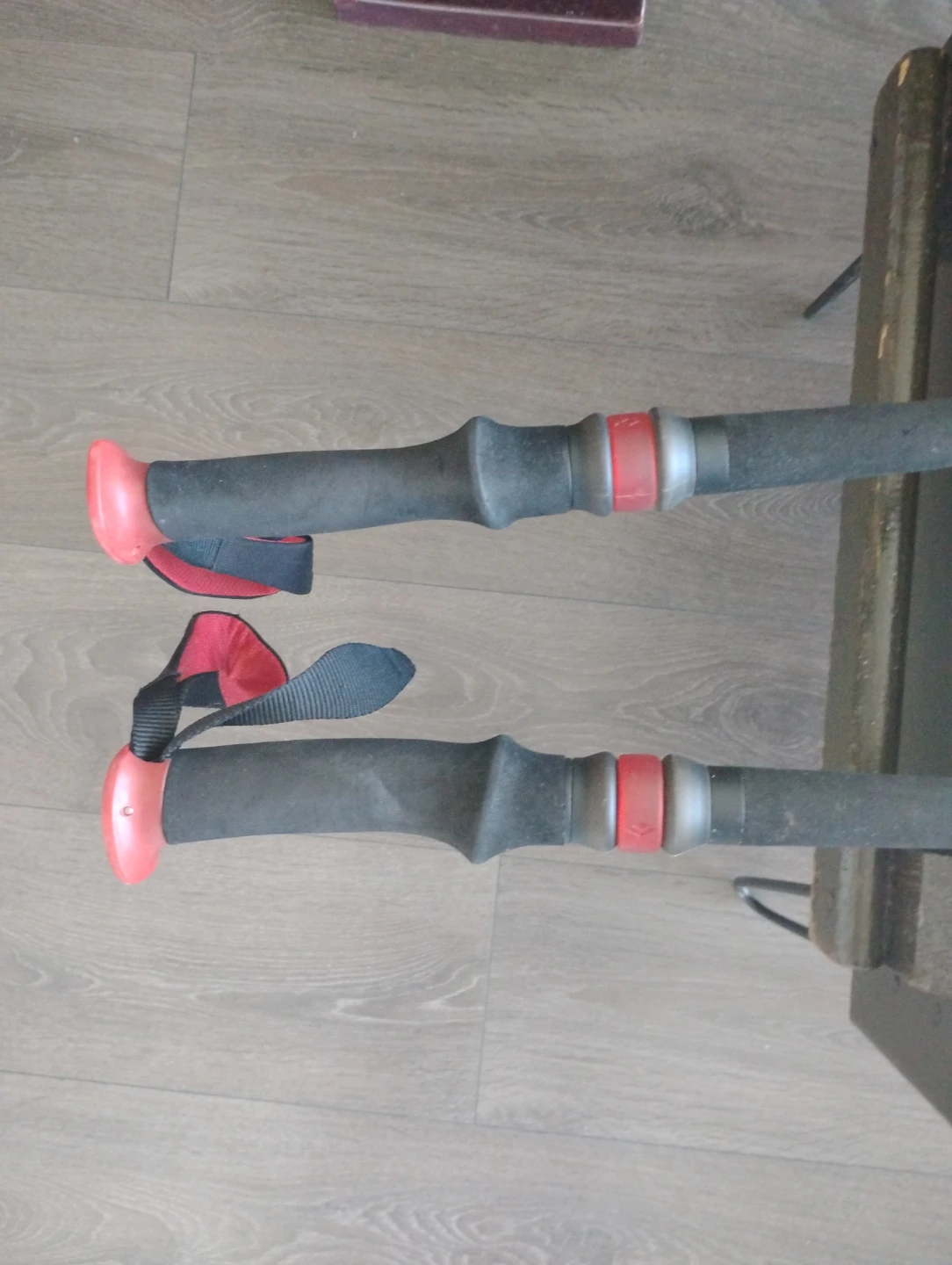 Black Diamond Trekking Poles - photo 3