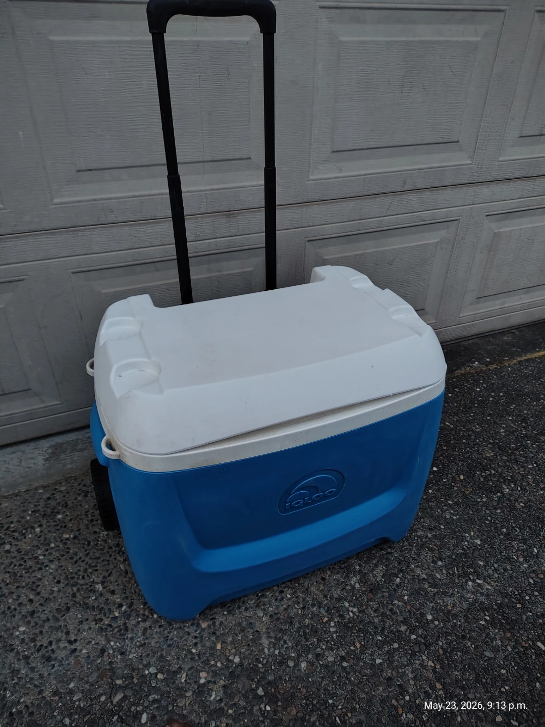 IGLOO 5 Day 60qt Wheeled Cooler with Drain 🥕