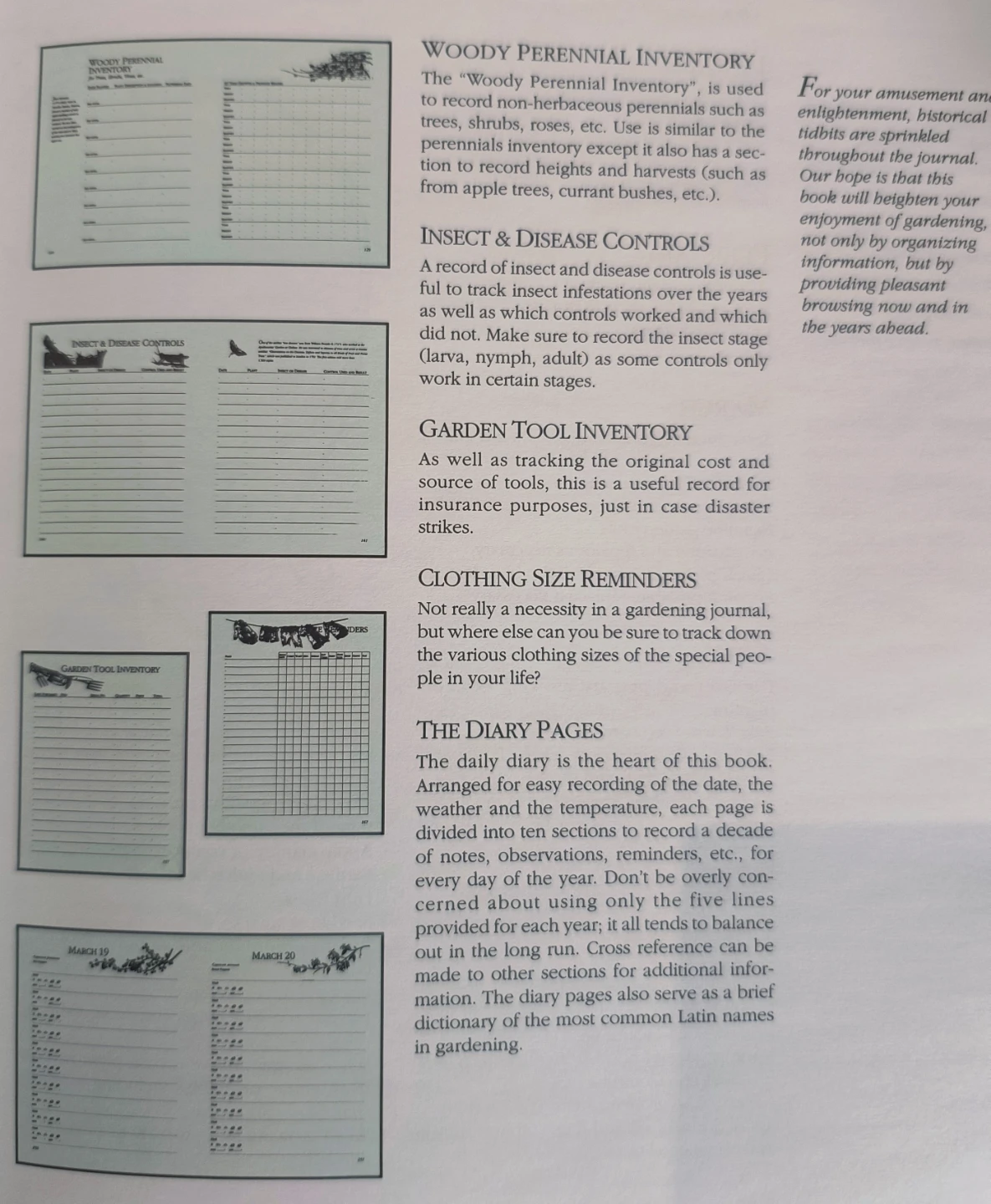 A Gardener's Journal: 10 Year Plan For Your Garden - photo 3
