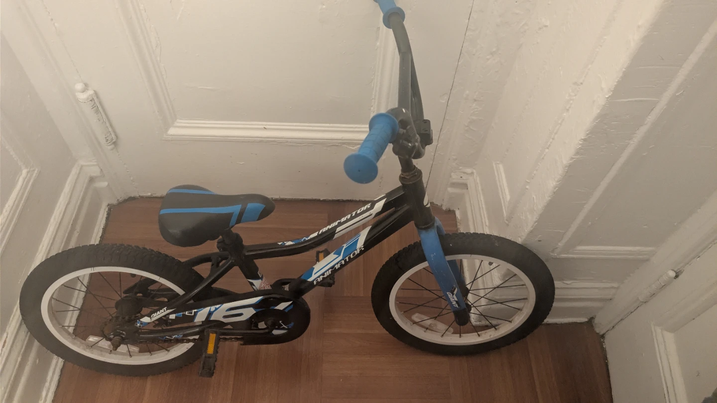 Kids Animator 16" Bike