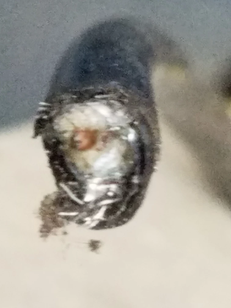 Large Spool of Black Electrical Wire - photo 3