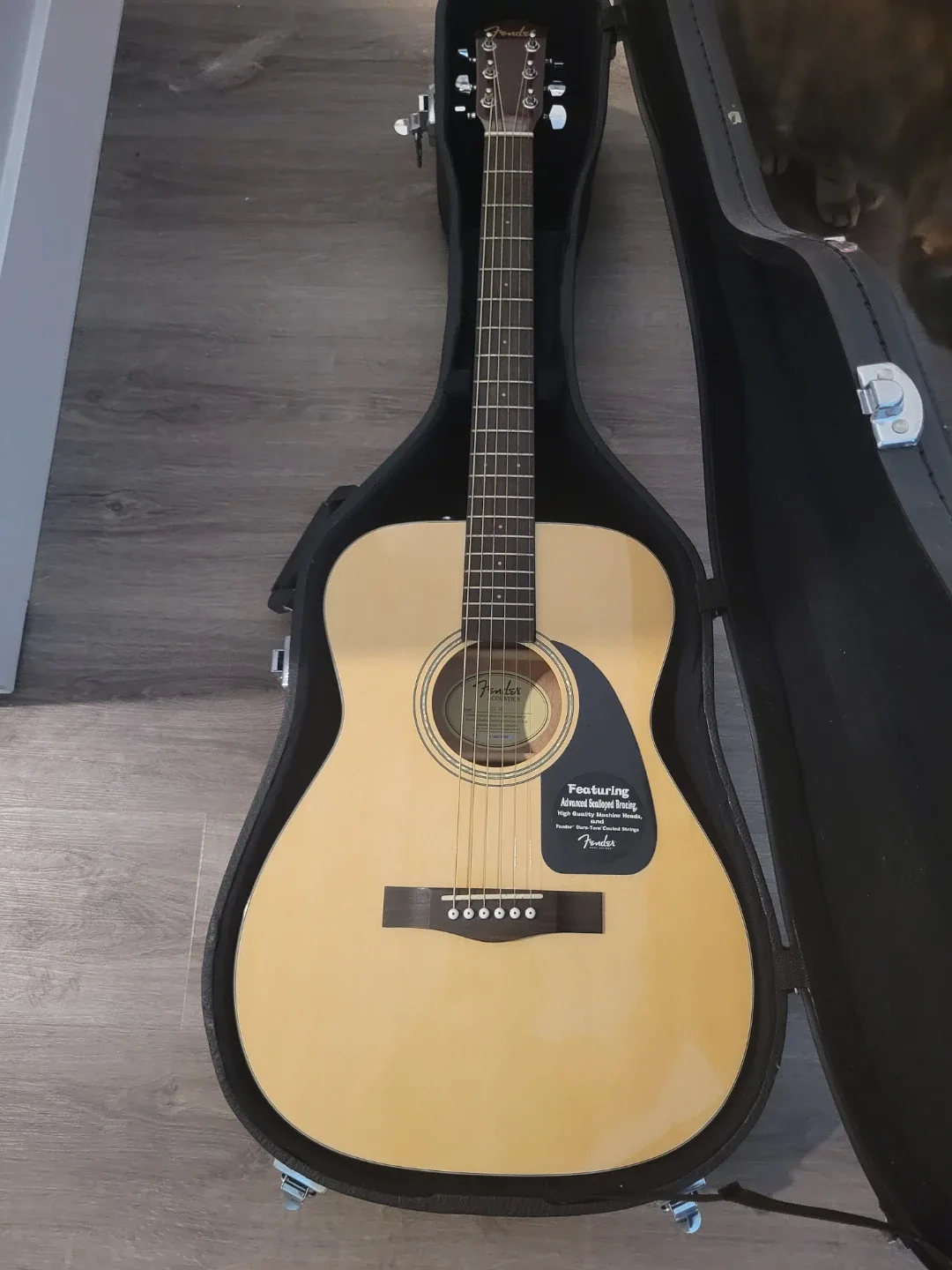 Fender Acoustic Guitar with Case and Accessories