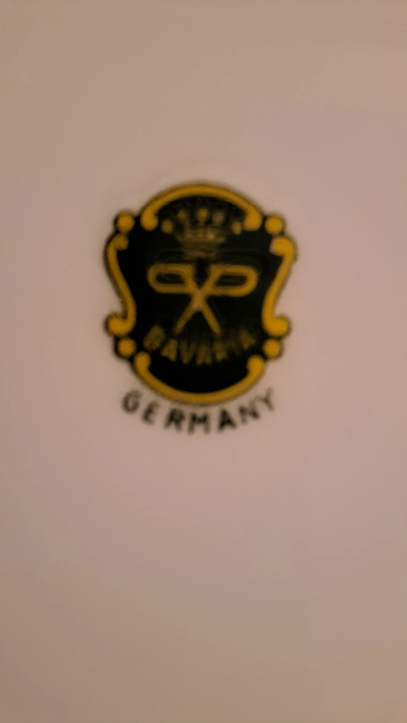 Bavaria Germany Fruit Decorated Plates (Set of 5) - photo 2
