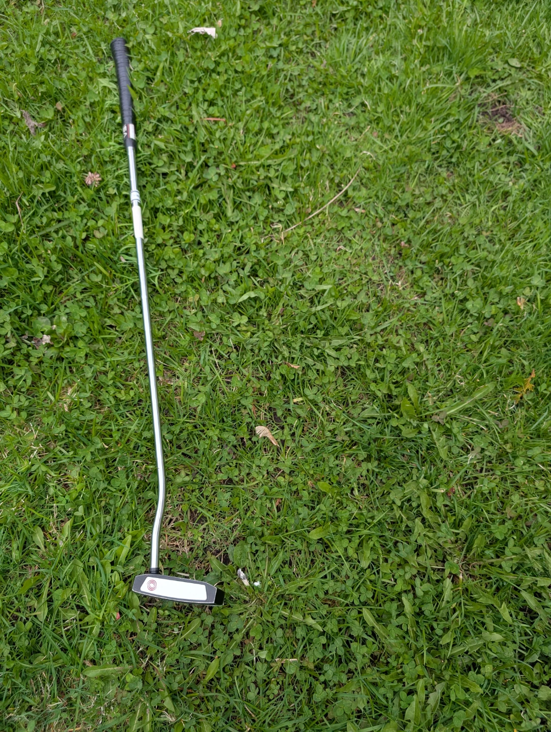 LH Golf Clubs - photo 3