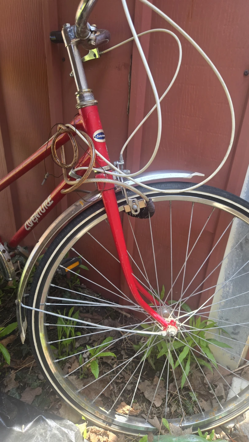 Red "Adventure" Bicycle & Black Mountain bike
