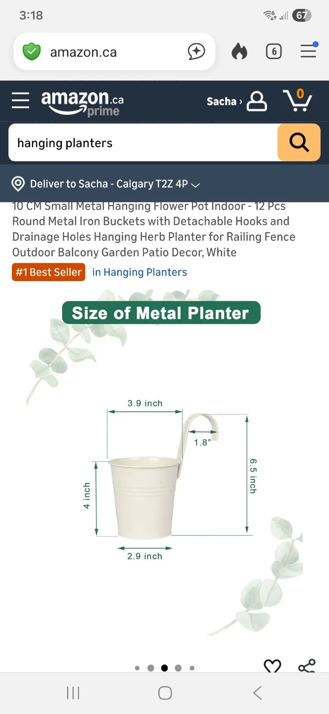 10, 4-inch Metal Hanging Flower Pots - White