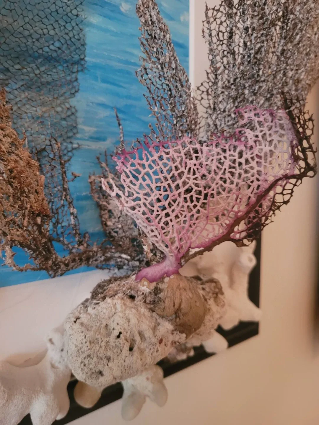 Framed Sea Fan and Coral Wall Art - photo 4
