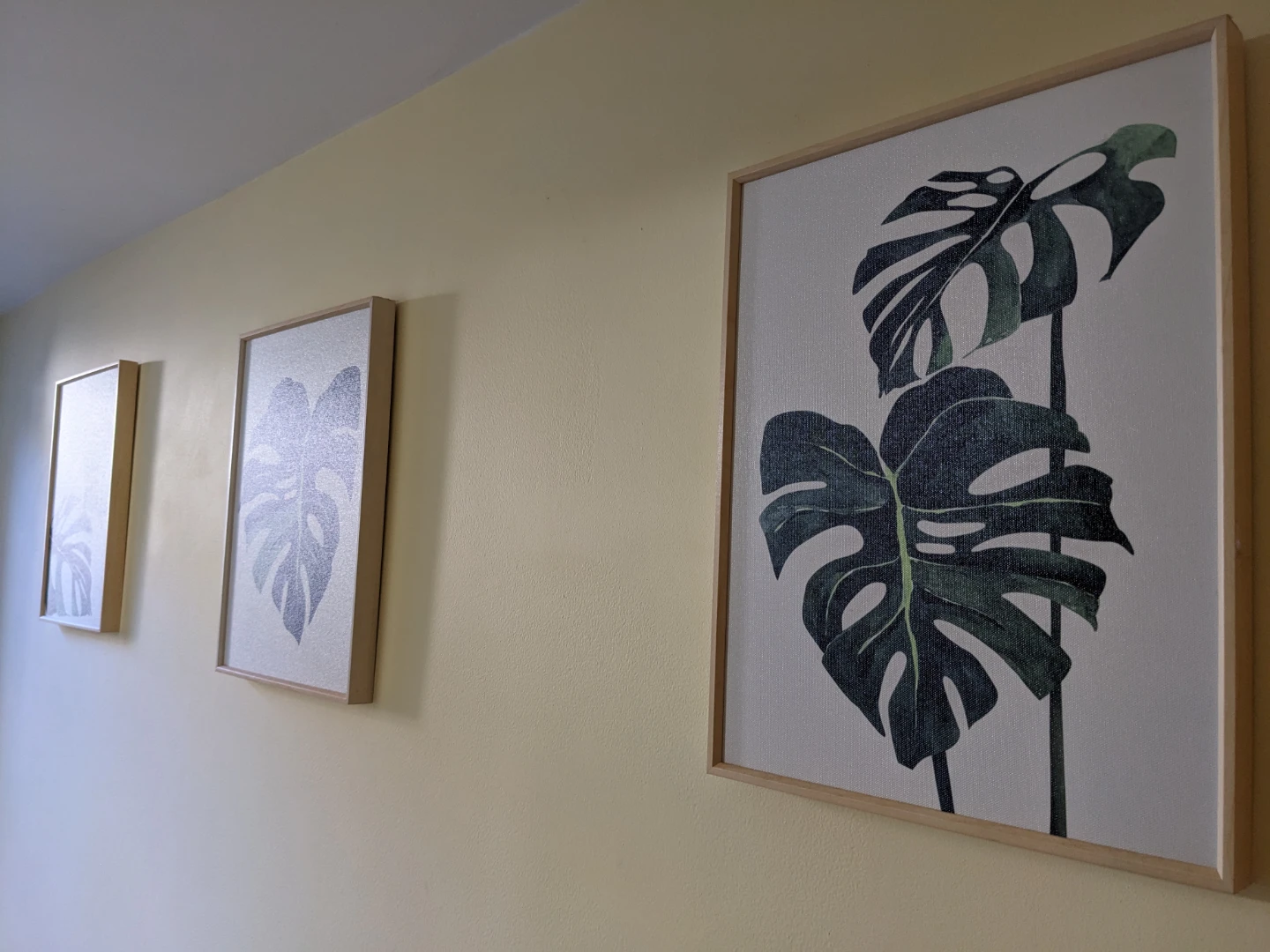 Monstera Leaf Art Prints Wall Decor - Set of 3 - photo 5