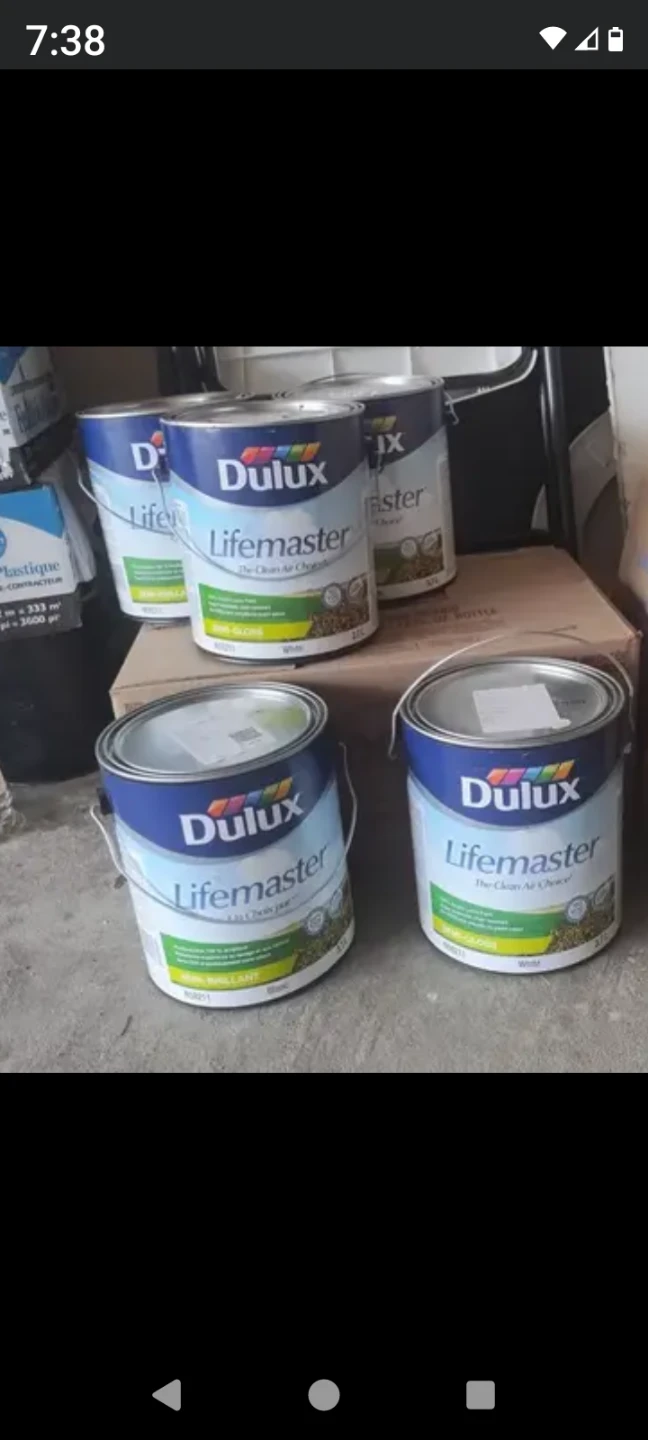 Dulux Lifemaster Paint