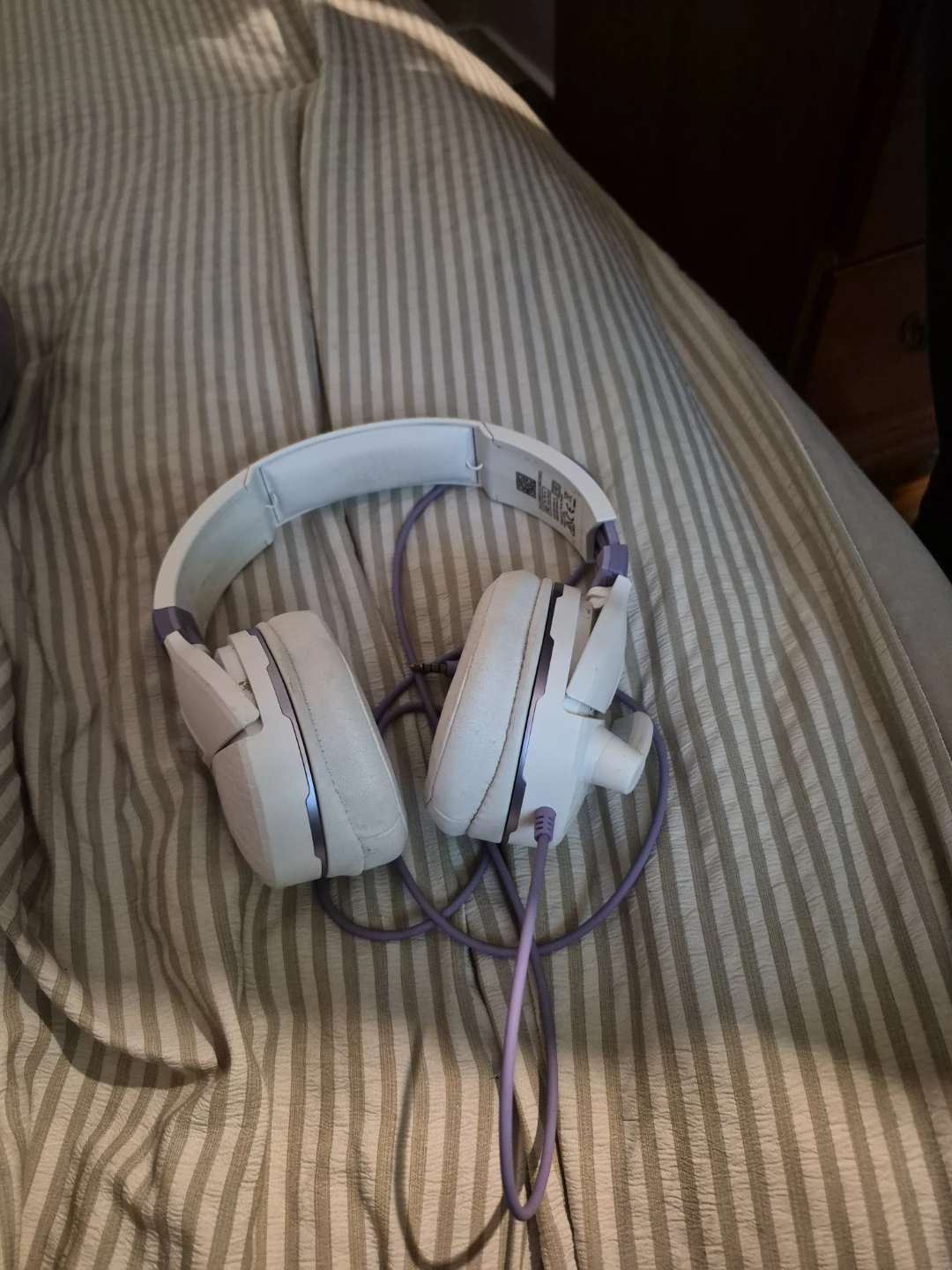 Turtle beach headphones