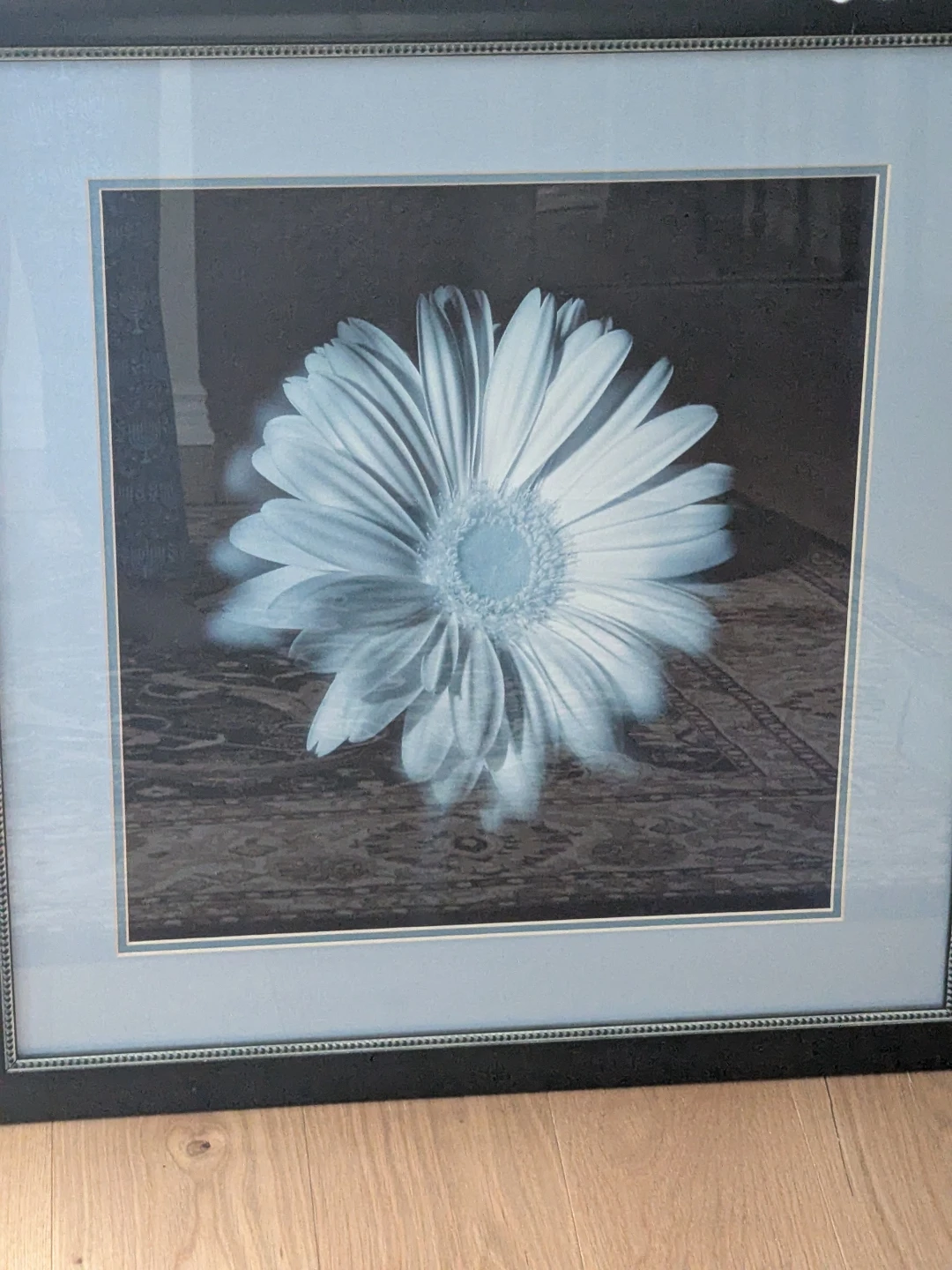 Framed Black and White Flower Print
