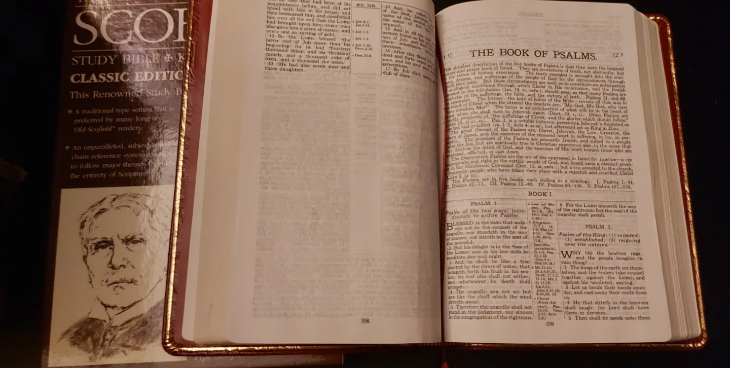 The Old Scofield Study Bible King James Version Classic Edition - photo 3