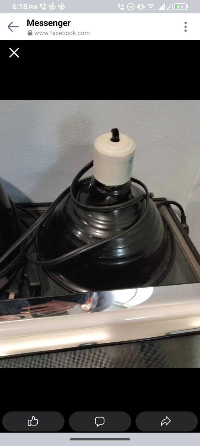 Reptile Tank Heat Lamp Fixture - photo 2