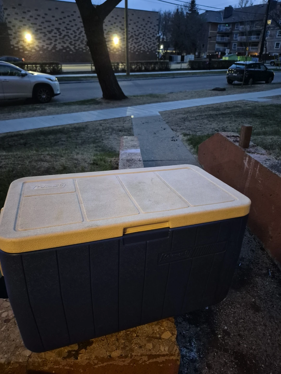 Coleman Cooler with 2 Ice Packs