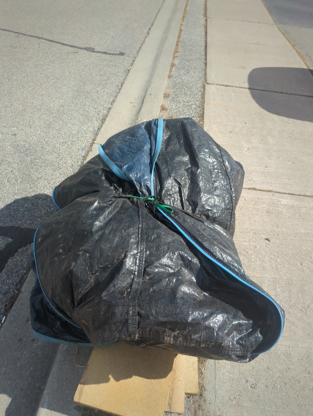Black TARP with blue trim