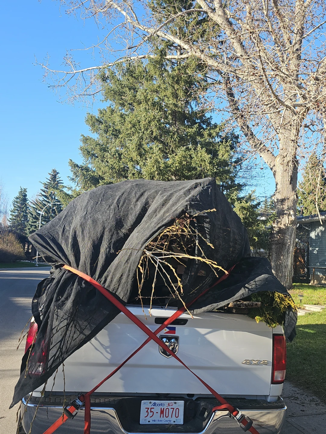 Junk runs. Garbage removal - photo 4