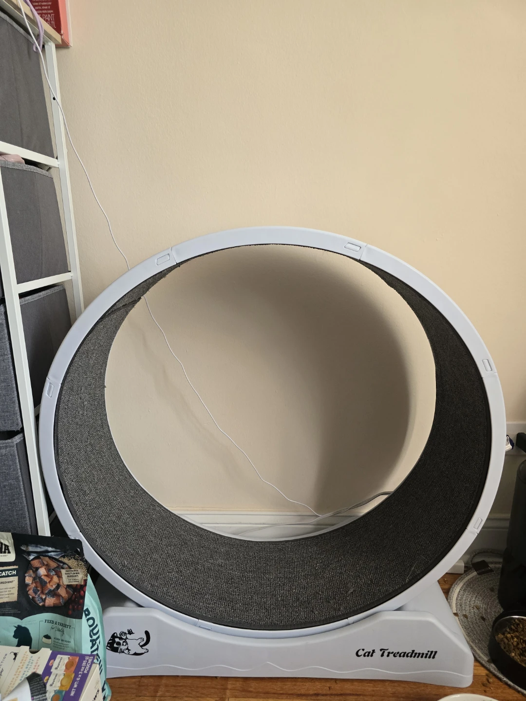 Cat Treadmill Wheel
