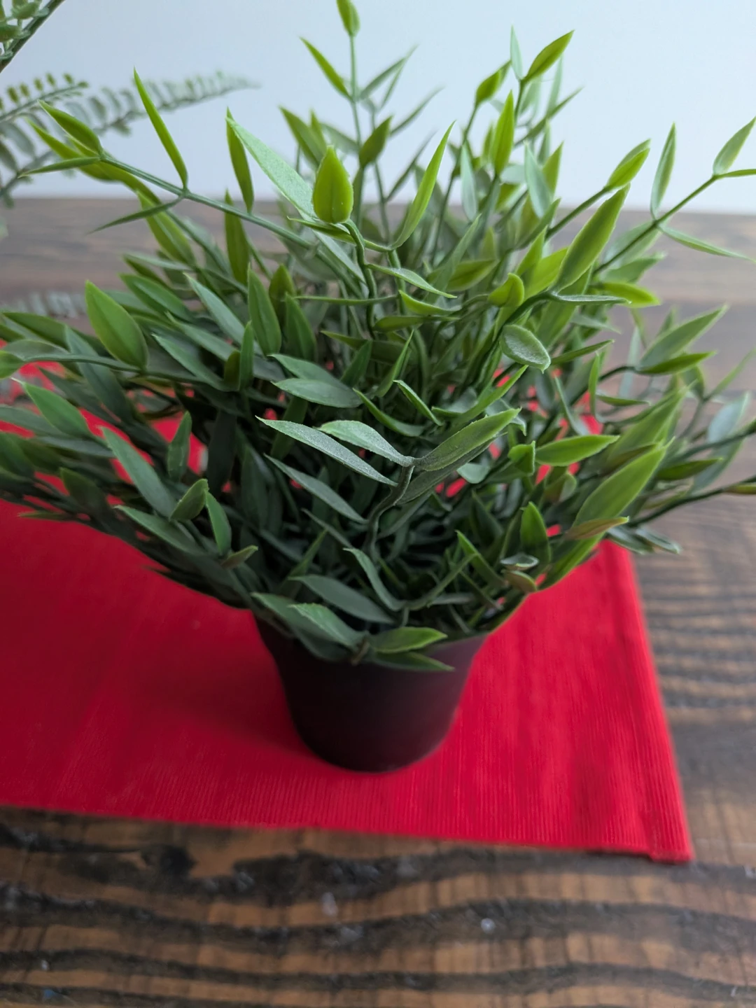 IKEA Artificial Potted Plants (Set of 3) - photo 4