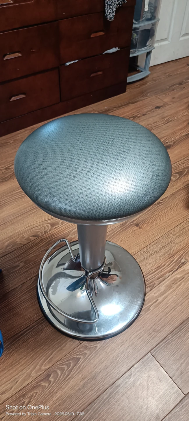 Adjustable Bar Stool