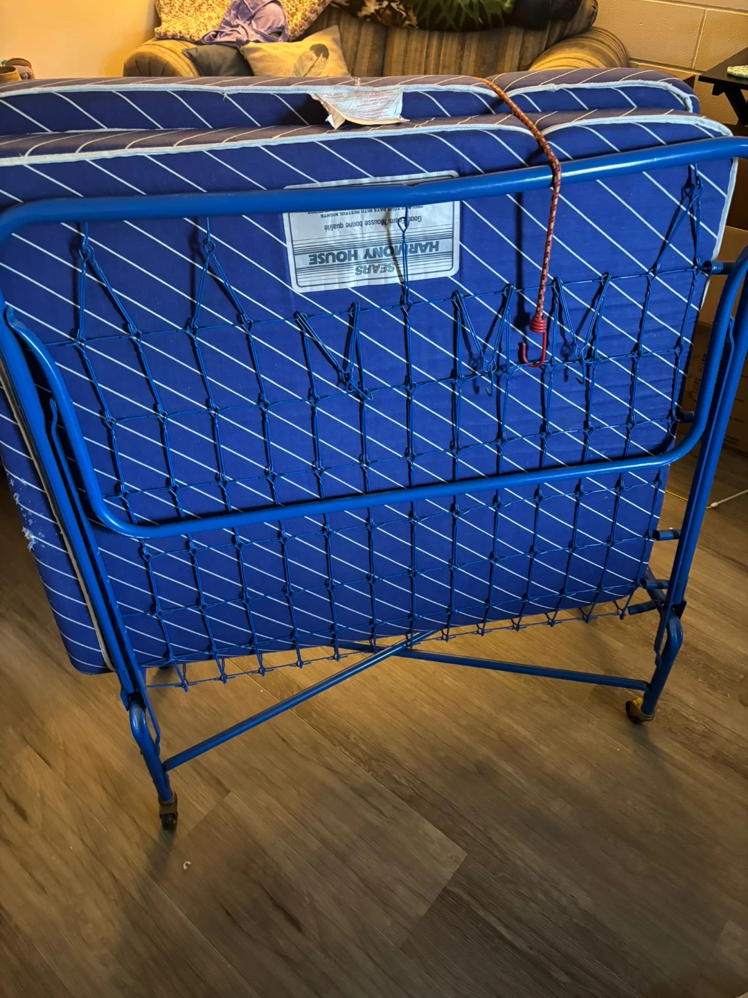 FREE - Single cot