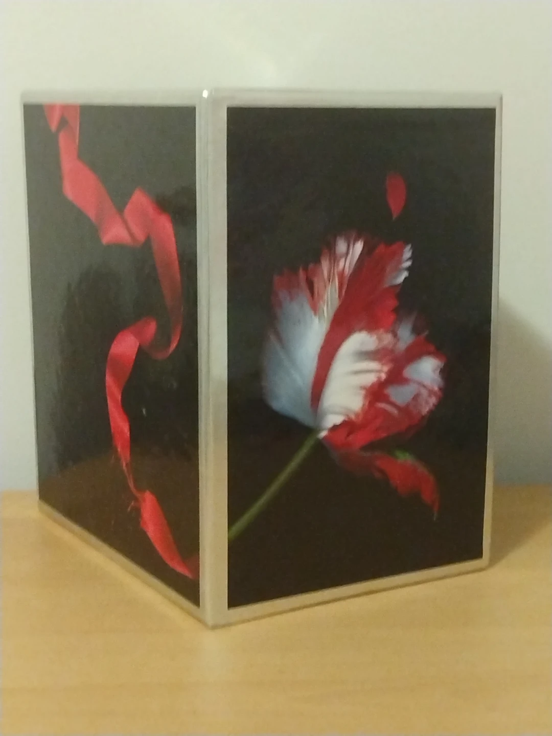 All Four Twilight Saga Books - photo 2