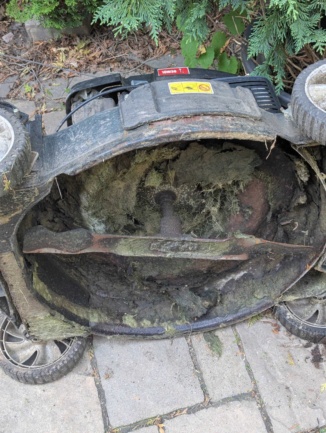YARDMAX Lawnmower - photo 2