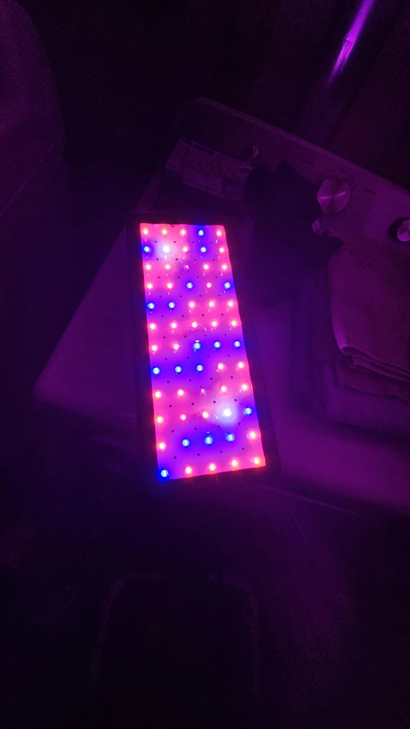 Phlizon 600W LED Grow Light