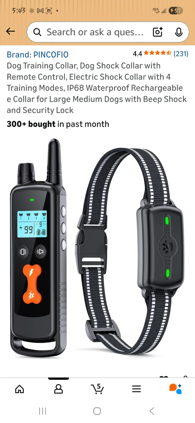 Dog Training Collar
