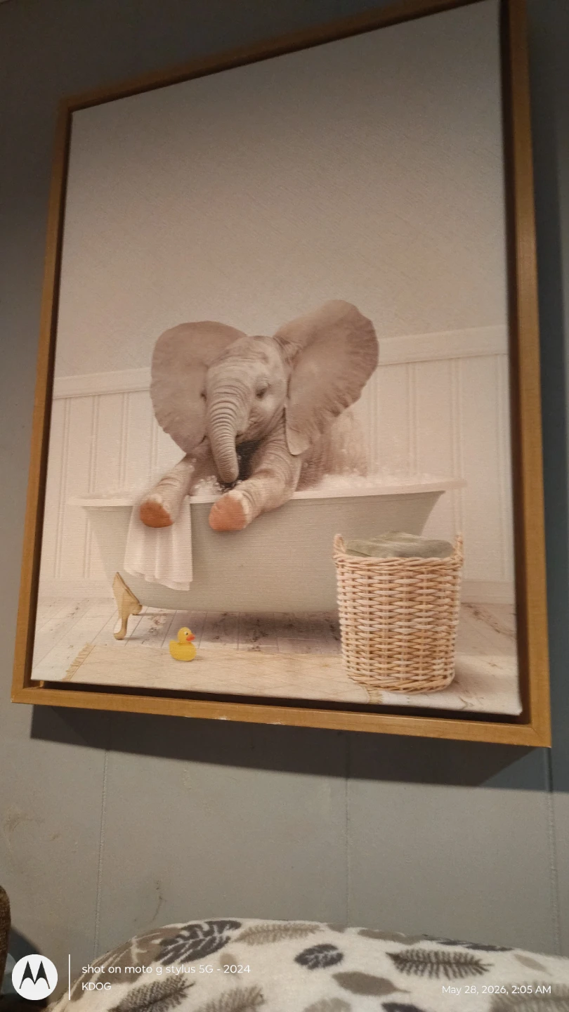 Framed Canvas Art Print - Baby Elephant in Bathtub