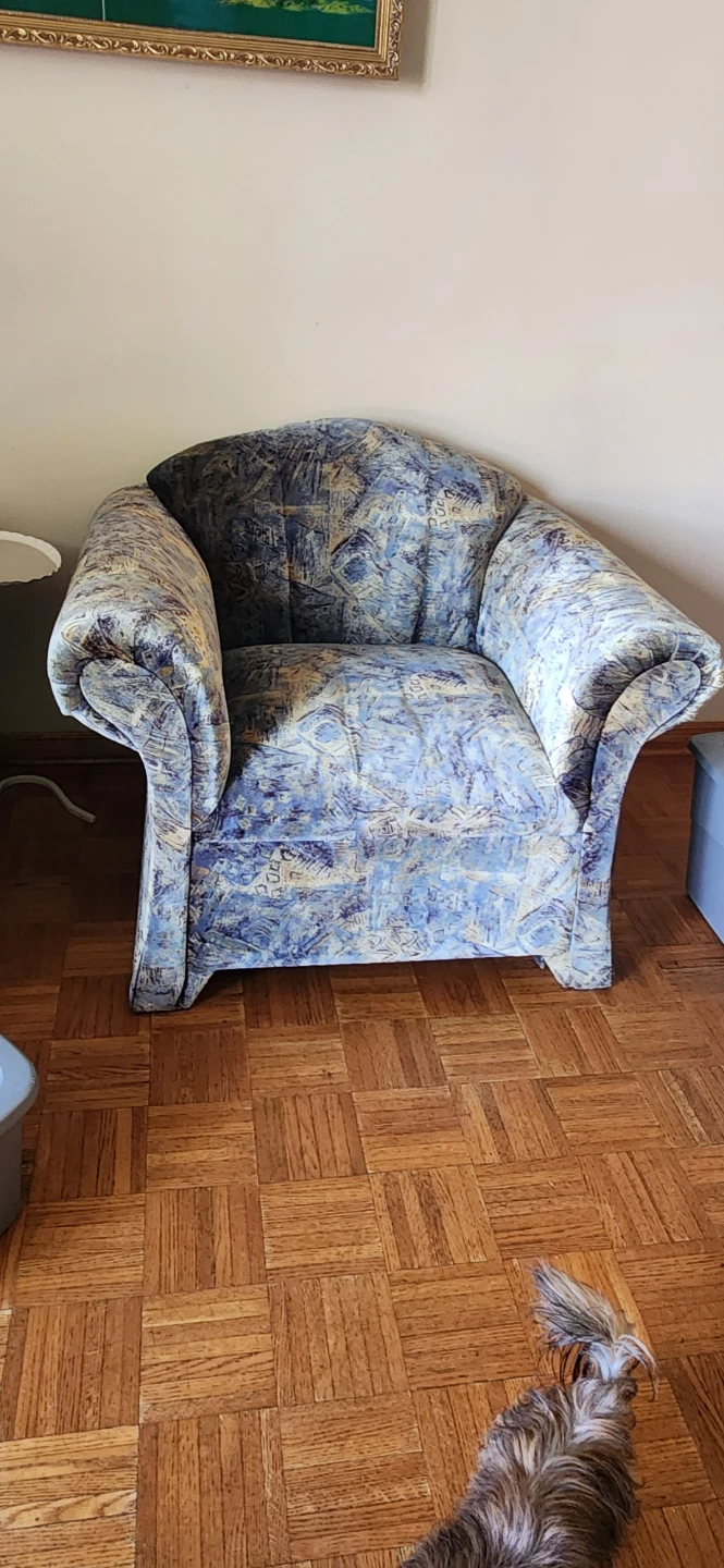 Blue patterned armchair