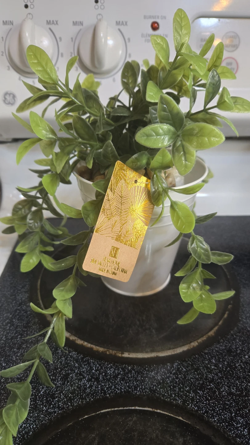 New Siena Home Faux Plant in White Metal Planter